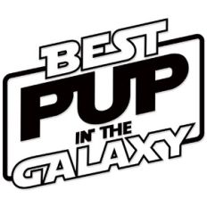 Best Pup in the Galaxy