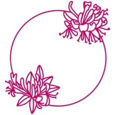 Honeysuckle Flower Circle Frame Border