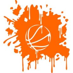 splash basketball