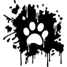 splash paw