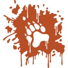 splash paw grizzly bear