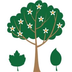 tree
