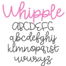 PN Whipple