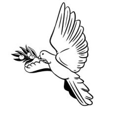 Dove with olive branch