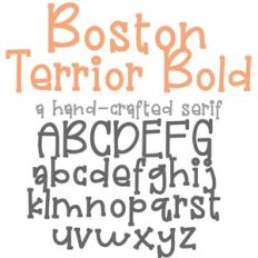 PN Boston Terrior Bold