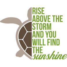 rise above the storm
