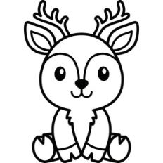 Cute Deer