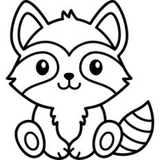 Raccoon