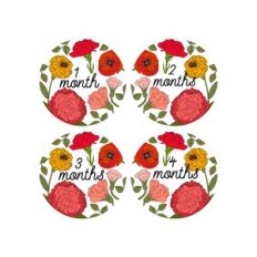Baby Growth Month Cards- Months 1-4