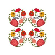 Baby Growth Month Cards- Months 5-8