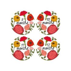 Baby Growth Month Cards- Months 9-12