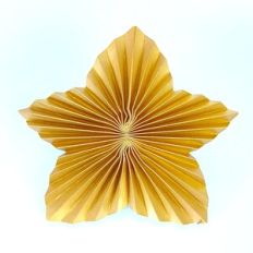 Pleated Star