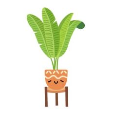 Kawaii Banana Leaf House Plant