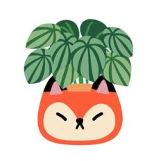 Kawaii Peperomia Plant in Fox Planter