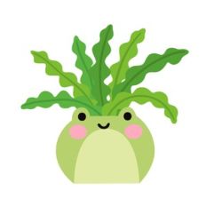 Kawaii Fishbone Cactus in Frog Planter