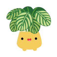 Kawaii Calathea House Plant