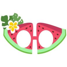 Watermelon party glasses