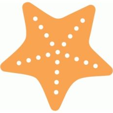 echo park starfish