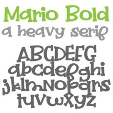 ZP Mario Bold