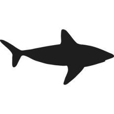 Shark Silhouette