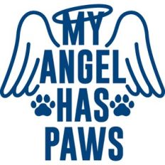 My Angel Has Paws