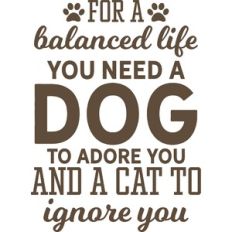 Balanced Life