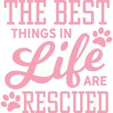 Best Things Are Rescued