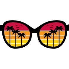 Beach Sunglasses