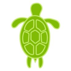sea turtle