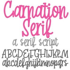 ZP Carnation Serif