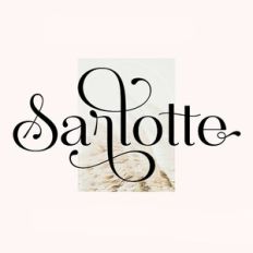  Font Family