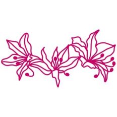 Lily Flower Border