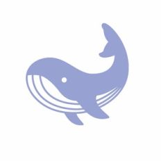 Whale