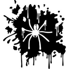 splash spider