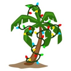 Christmas Palm Tree