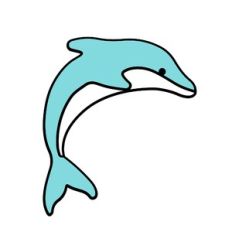 dolphin