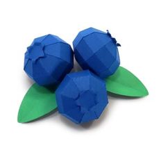 Blueberries