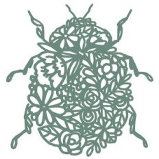 floral lace beetle