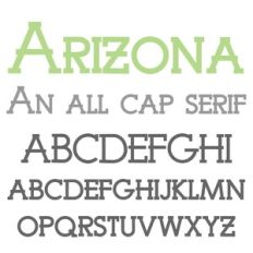 ZP Arizona
