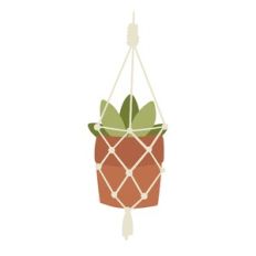 Succulent in Boho Hanging Macrame Planter