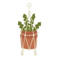 Fishbone Cactus in Boho Hanging Macrame Planter