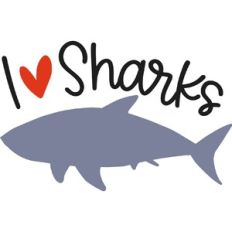I Heart Sharks