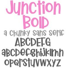 PN Junction Bold