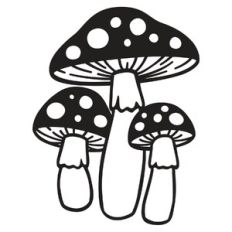 mushrooms