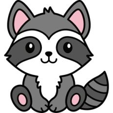 Raccoon
