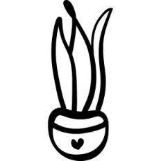 Snake Plant