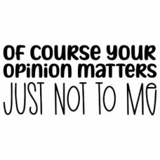 Of Course Your Opinion Matters Just Not to Me Quote