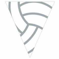 Volleyball Pennant Flag