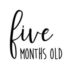 Five months old