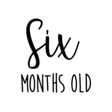 Six months old